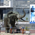 Metall öffentliche Dekoration im Freien große Bronze Elefant Skulptur